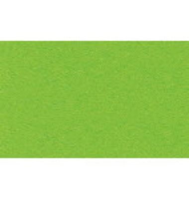 Buntkarton Bähr 1109652, 300g, 50x70cm, tropicgrün