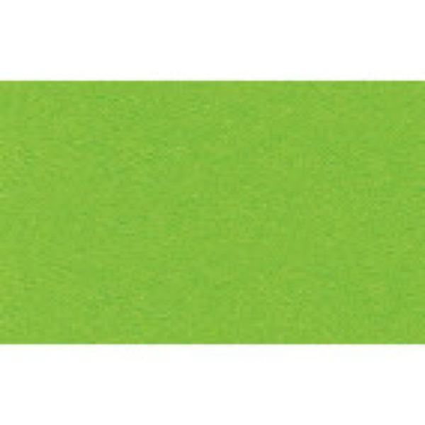 4008525133162 - Buntkarton Bähr 1109652 300g 50x70cm tropicgrün 4008525133162 Ursus 20 Stück 4008525133162 - Buntkarton Bähr 1109652 300g 50x70cm tropicgrün 4008525133162 Ursus 20 Stück