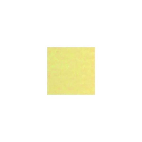 Staufen BX10 BÄHR 10840 TONK. 50X70 220G CHAM Buntkarton 4008525718161 URSUS 10 Stück