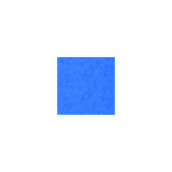 Staufen BX10 BÄHR 10840 TONK. 50X70 220G DBLAU Buntkarton 4008525718345 URSUS 10 Stück