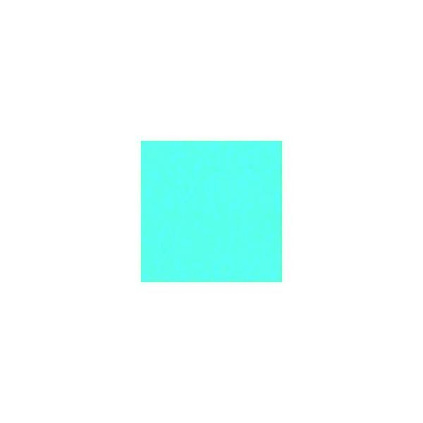 Staufen BX10 BÄHR 10840 TONK. 50X70 220G CBLAU Buntkarton 4008525718352 URSUS 10 Stück