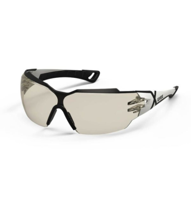 Schutzbrille 9198.064 Pheos CX2, Polycarbonat, getönt