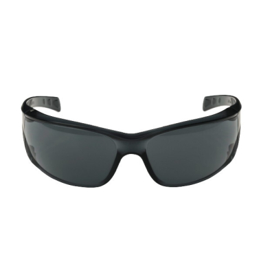 Schutzbrille Virtua AP, Polycarbonat, grau