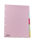 Kartonregister 29237, 5-teilig blanko, A4, 160 g/m&sup2;, farbige Taben, 5-teilig