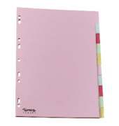 Kartonregister 29222, 10-teilig blanko, A4, 160 g/m&sup2;, farbige Taben, 10-teilig