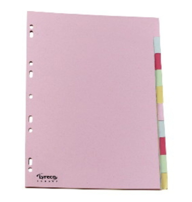 Kartonregister 29222, 10-teilig blanko, A4, 160 g/m&sup2;, farbige Taben, 10-teilig