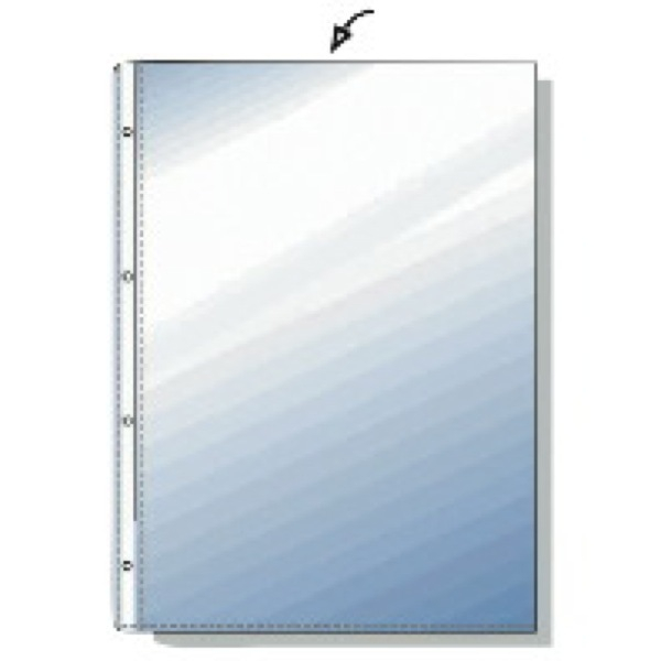 8595033201941 - Prospekthüllen Budget 100810541 A4 transluzent genarbt oben offen 0045mm 8595033201941 100 Stück