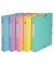 Archivbox 59560E, A4, farbig sortiert, Karton