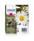 Tintenpatrone C13T18034012, Inhalt: 3,3ml, magenta
