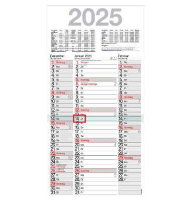 Plakatkalender LY-M3TE, Terminus, 3 Monate / 1 Seite, 30x59cm, 2025