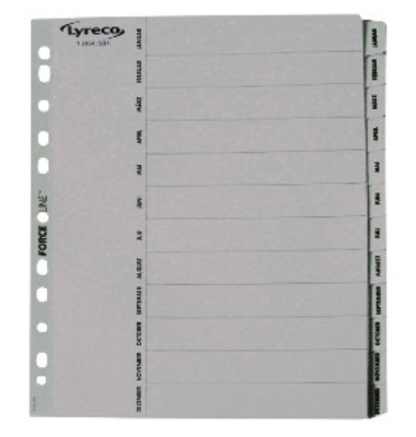Kartonregister 29482, Jan bis Dez, A4, graue Taben, 12-teilig