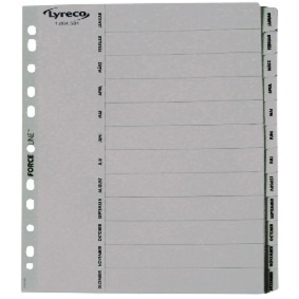 Alpedia Kartonregister 29482, Jan bis Dez, A4, graue Taben, 12-teilig 4255704331783 Alpedia