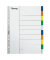 Kunststoffregister 30046, 10-teilig blanko, A4, farbige Taben, 10-teilig