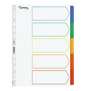 Kartonregister 29225, 5-teilig blanko, A4, farbige Taben, 5-teilig