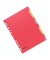 Kartonregister 29239, 10-teilig blanko, A4, 240 g/m&sup2;, farbige Taben, 10-teilig