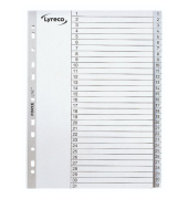 Kunststoffregister 30049, 1 bis 31, A4, graue Taben, 31-teilig