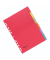 Kartonregister 29423, 6-teilig blanko, A4, 240 g/m&sup2;, farbige Taben, 6-teilig