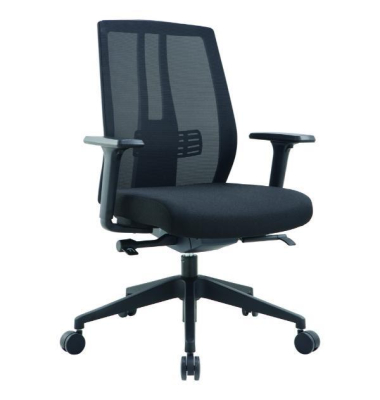 B&uuml;rostuhl Pegasus, schwarz / schwarz, mit Armlehnen, bis 110kg, ohne Kopfst&uuml;tze