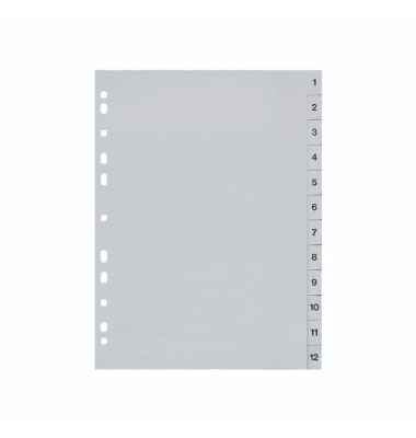 Kunststoffregister 29971, 1 bis 12, A4, graue Tauben, 12-teilig