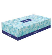 Kosmetiktücher Neutral, 2-lagig, 210 x 210mm (B x H), 100 Tücher