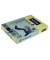 Kopierpapier Coloured Paper 468984 kanariengelb A3 80g