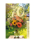 Geburtstagskarten 54-4298 12x16 cm 120mm x 160mm (BxH) bunt