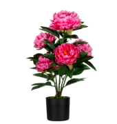 PFINGSTROSE Kunstpflanze 55,0 cm