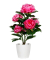 PFINGSTROSE Kunstpflanze 55,0 cm