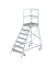 Podesttreppe 50107 einseitig 7Stufen