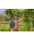 Gartenschlauchverbinder Liano™ Reparator 34