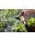 Gartenbrause Comfort empfindliche Pflanzen