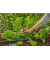 Sprühdüsen-Verlängerung für Gartenschlauch