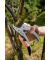 Comfort  Gartenschere