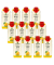 Bio-Fruchtsaft 12x 0,33 l