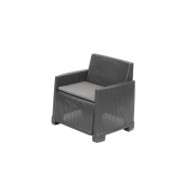 Sessel Lamon 581431 an 2St