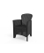 Sessel Trente 581432 an 2St