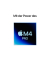 Mac Mini M4 Z1JV PC