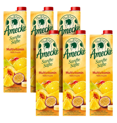 Sanfte Säfte Multivitamin Fruchtsaft 6x 1,0 l