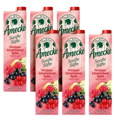 Sanfte Säfte Himbeere Johannisbeere Apfel Fruchtsaft 6x 1,0 l