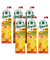 + Calcium Magnesium Fruchtsaft 6x 1,0 l