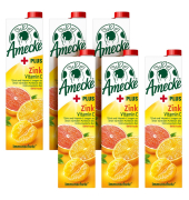 + Zink Fruchtsaft 6x 1,0 l