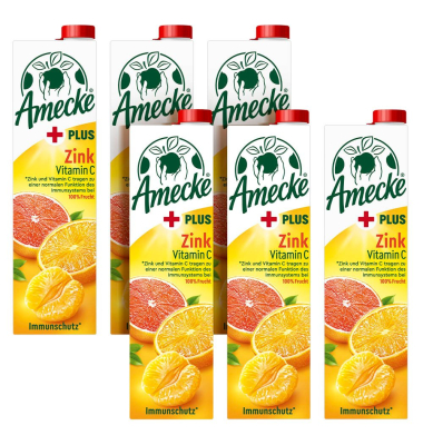 + Zink Fruchtsaft 6x 1,0 l