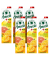 + Zink Fruchtsaft 6x 1,0 l