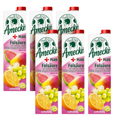 + Folsäure Fruchtsaft 6x 1,0 l