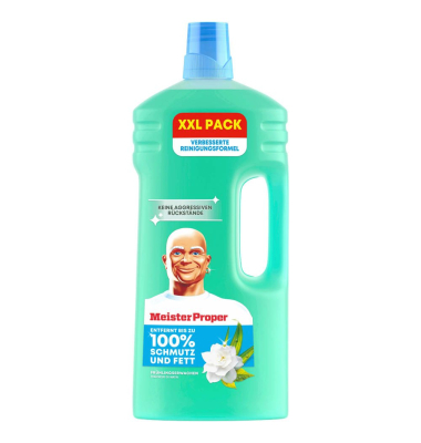 FRÜHLINGSERWACHEN Allzweckreiniger 2,00 l