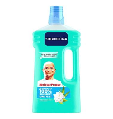 FRÜHLINGSERWACHEN Allzweckreiniger 1,00 l