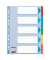 Kartonregister 100191, 5-teilig blanko, A4, 160 g/m², farbige Taben, 5-teilig