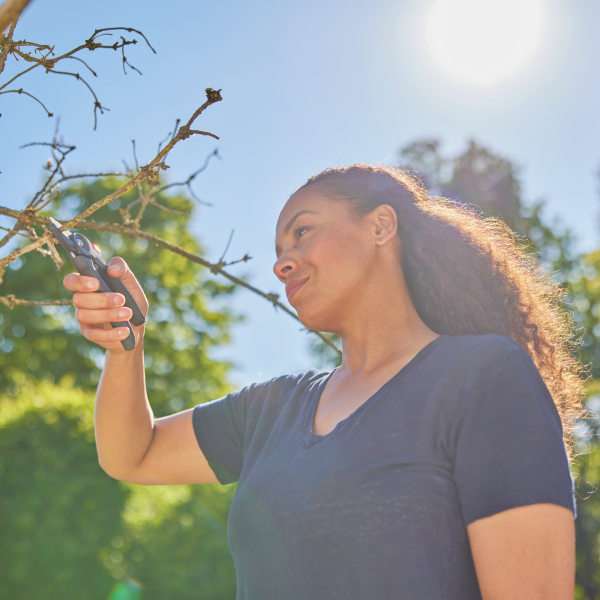 4066407022317 - Gartenschere PremiumCut 12240-20 trockenes Holz 4066407022317 Gardena