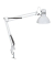 LED-Schreibtischlampe MAULstudy, weiß, mit Klemmfuß