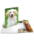 Eckspannmappe Tiermotiv - Serie 7144, A3 mehrfarbig Polypropylen (PP), f&uuml;r ca. 50 Blatt  (80 g/m&sup2;), mit 3 Einschlagklappen